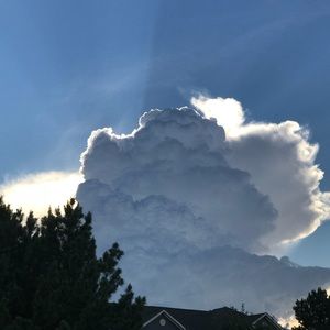 Meet your Posher, Kalee